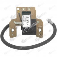 Aprinderi si Bobine inductie - Briggs and Stratton