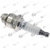 Bujie atomizor China 3WF-3 4106J