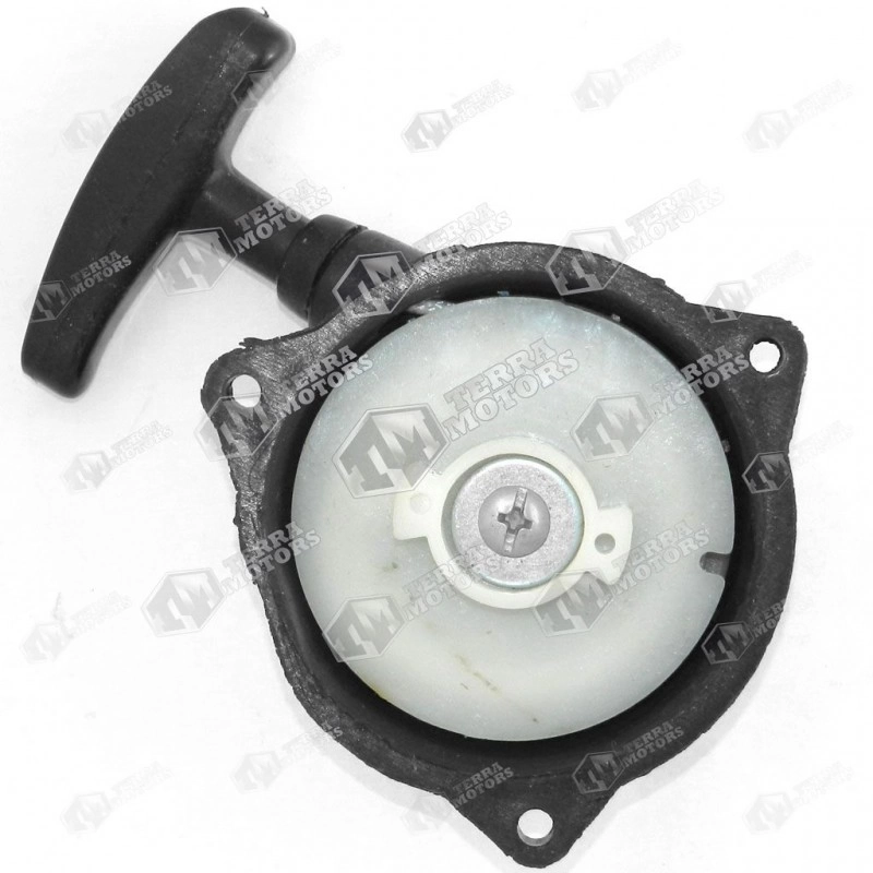 Demaror atomizor China 3WF-2.6 