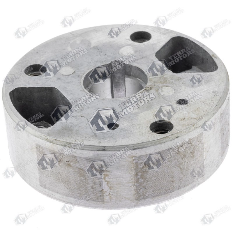 Volanta atomizor 3WF-3