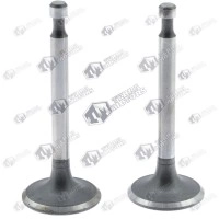 Supape Honda GX 160, GX 200 Set 