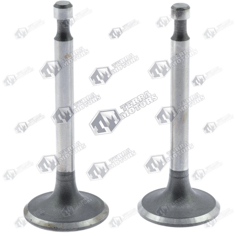 Supape Honda GX 160, GX 200 Set 