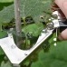 Aparat de legat vita de vie, legume si pomi fructiferi