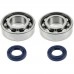 Rulment cu simering drujba Stihl 170, 180, 171, 181, 211, 190, 017, 018, 019 - Set 2 buc - Skf
