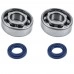 Rulment cu simering drujba Stihl 210, 230, 250, 231, 251, 021, 023, 025 - Set 2 buc - Skf