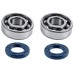 Rulment cu simering drujba Stihl 290, 310, 390, 029, 039 - Set 2 buc - Skf