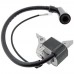 Aprindere masina de tuns gazon Hecht 40, 4040, Ruris Rx16, Zimbru 889, Daye DG350, NZ565, Cobra DG350, Krysiak 1P56